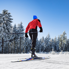 Forest Bay in Barrie, 4